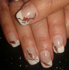 Nails Image